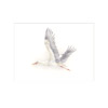 fliegender Storch III – Passepartout 40 x 30 cm