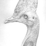 Der tropische W&auml;chter